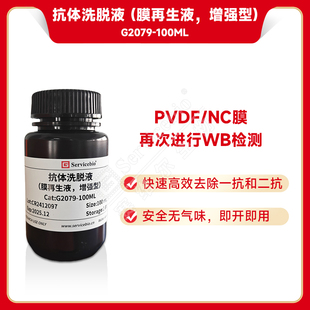 Servicebio塞维尔 抗体洗脱液（膜再生液，增强型）100ml