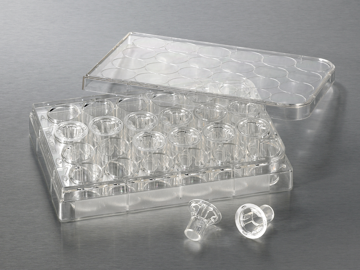 康宁Transwell小室 3422 3412 3450 3460