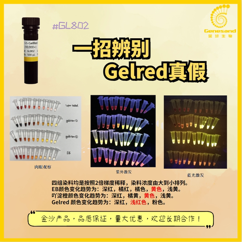 500μL核酸染料（10,000×）GS GelRed  高灵敏核酸染料