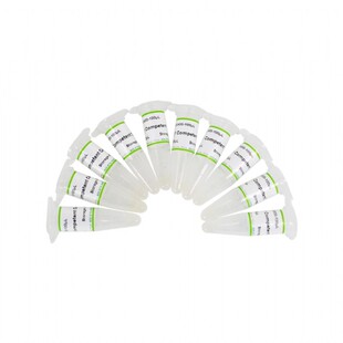 coolaber酷来博 DH5α感受态细胞 CC501 100μL 可开票