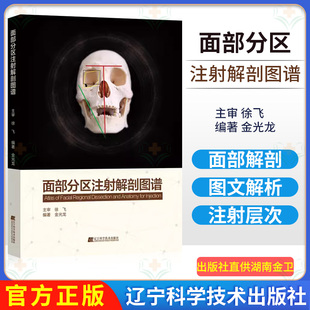 面部分区注射解剖图谱 金光龙著 微整形注射美容解剖医学技术 辽宁技术科学出版社 9787559110695