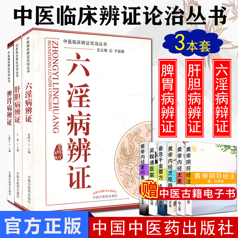 全3本 六淫病辩证 肝胆病辩证 脾胃病辩证 中医临床辨证论治丛书共3本  袁晖戍  王蕾 公维志编 中国中医药出版社精品医书