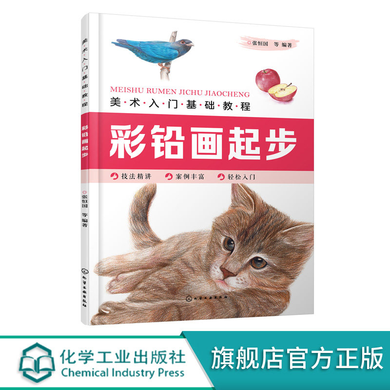 美术入门基础教程——彩铅画起步