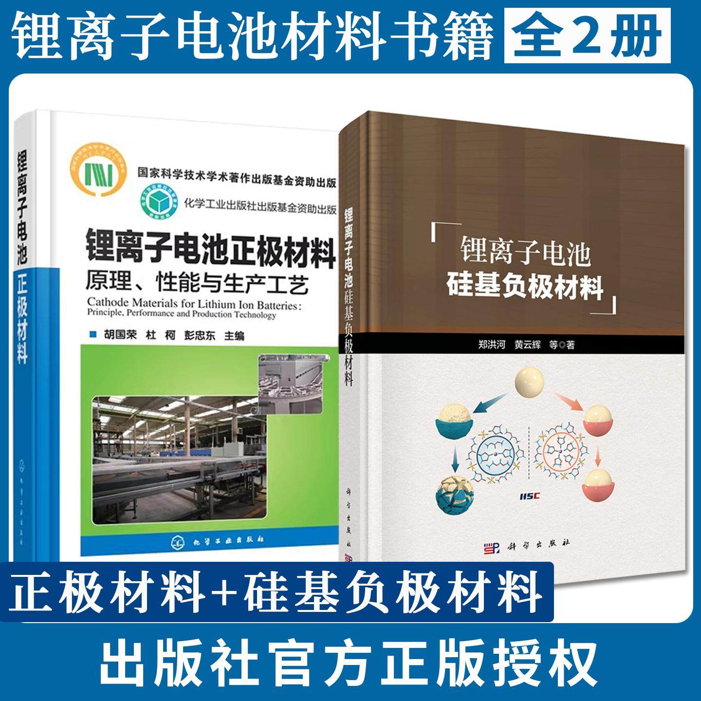 【全2册】锂离子电池硅基负极材料+锂离子电池正极材料：原理、性能与生产工艺 郑洪河黄云辉 科学出版社