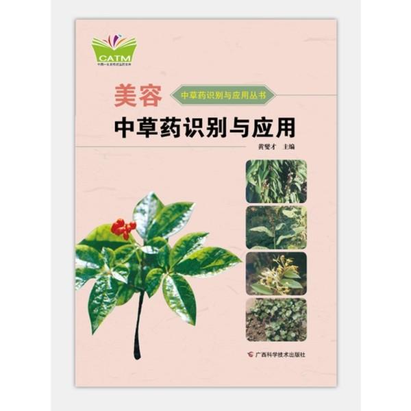 美容中草药识别与应用 中草药识别与应用丛书(中国-东盟传统医药文库)黄燮才 主编 广西科学技术出版社9787555107231