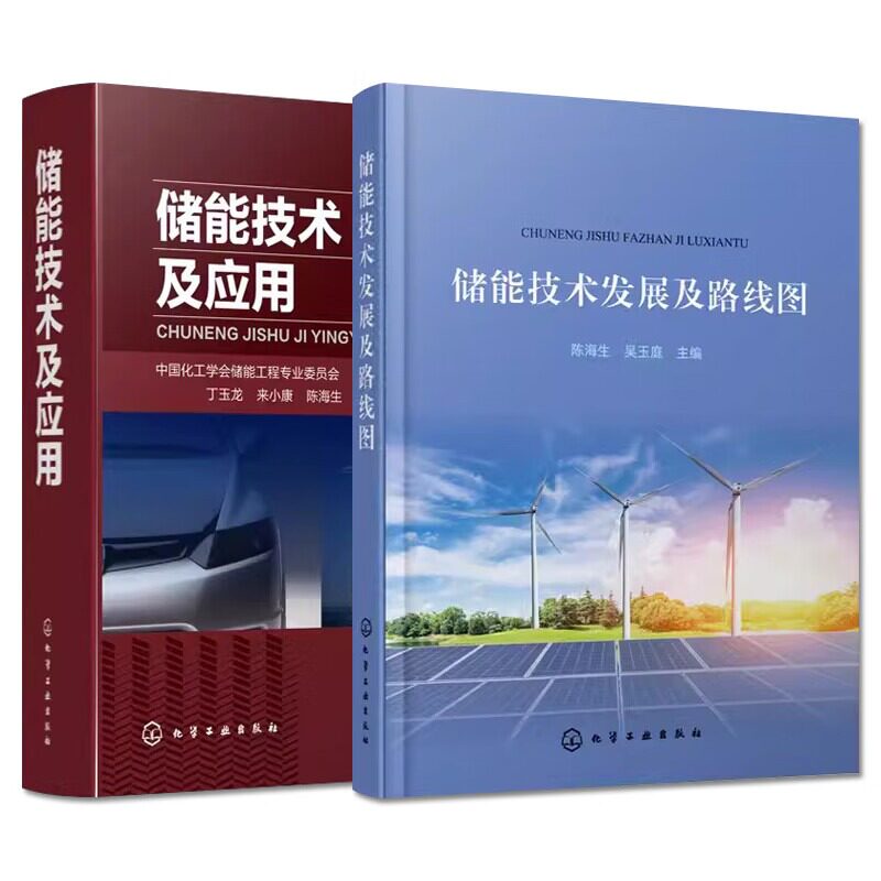 2本储能技术及应用+储能技术发展及路线图 陈海生 能源与动力工程 储能产业发展新能源汽车锂电池 物理储能风力发电原理分析参考书