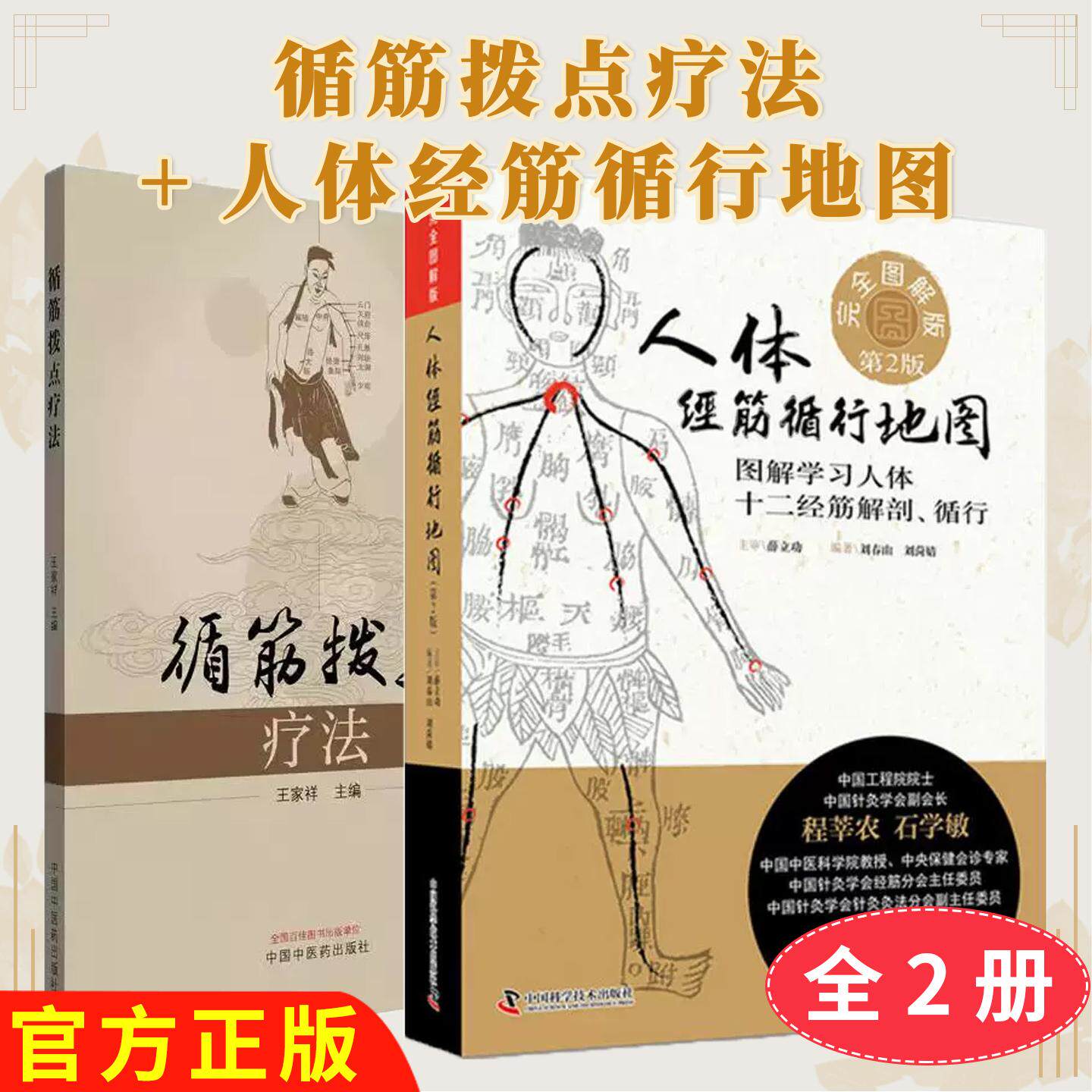 【全2册】循筋拨点疗法 +人体经筋循行地图王家祥 主编 正版中医书籍大全中国中医药出版社9787513227483