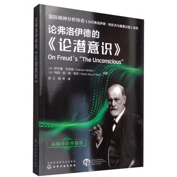 国际精神分析协会《当代弗洛伊德：转折点与重要议题》系列--论弗洛伊德的《论潜意识》化学工业出版社9787122387257