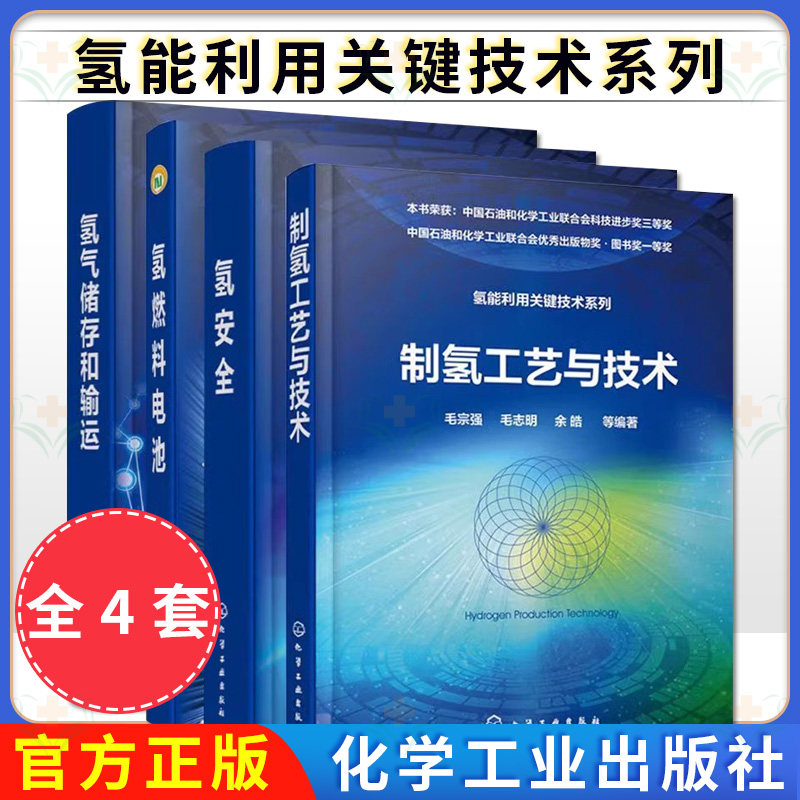 【全4册】氢能利用关键技术系列 氢能利用关键技术系列 氢安全+氢燃料电池+氢气储存和输运+制氢工艺与技术
