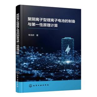 聚阴离子型锂离子电池的制备与第一性原理计算 常龙娇 聚阴离子型锂离子电池结构设计电极电解液构成 9787122438720 化学工业出版