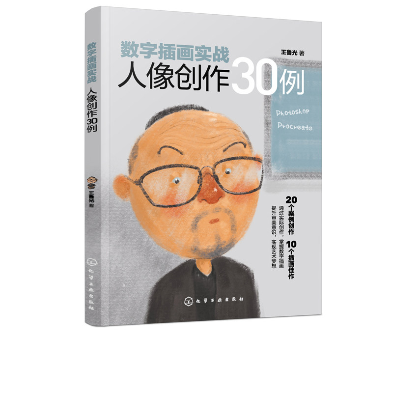 数字插画实战：人像创作30例（王鲁光）
