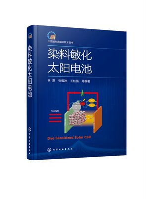 太阳能利用前沿技术丛书--染料敏化太阳电池