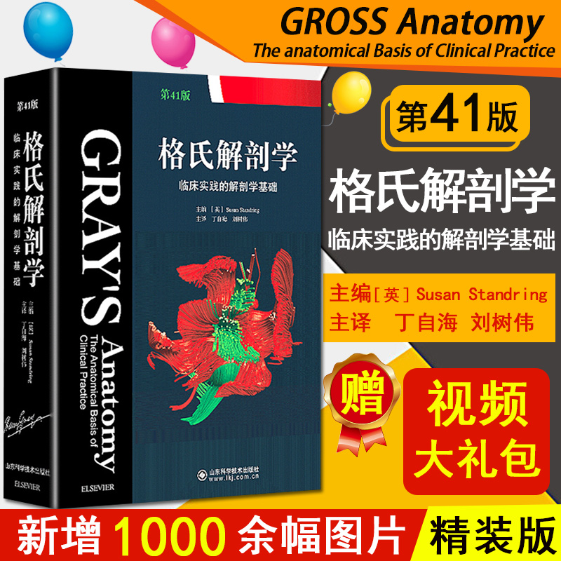 格氏解剖学 临床实践的解剖学基础第41版中文版 作者 (英)Susan Standring 主编丁自海 刘树伟山东科学技术出版社格式解刨学
