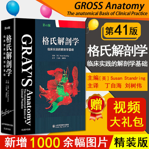 格氏解剖学 临床实践的解剖学基础第41版中文版 作者 (英)Susan Standring 主编丁自海 刘树伟山东科学技术出版社格式解刨学