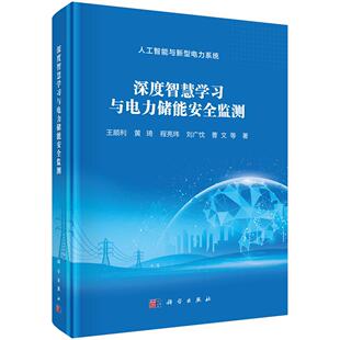 深度智慧学习与电力储能安全监测 王顺利等 9787030830685