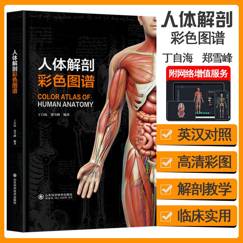 人体解剖彩色图谱 丁自海 郑雪峰 人体解剖彩色学图谱临床人体解剖学教材奈特人体解剖学参考书系统解剖学图谱附赠3D视频教学课程