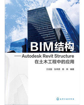 BIM结构：Autodesk Revit Structure在土木工程中的应用