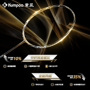 薰风2025新款羽毛球拍2900二代全碳素耐用型进攻均衡熏风羽拍正品