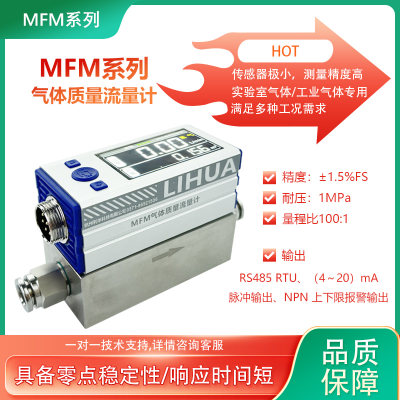 MFM-60数显高精度气体质量流量计