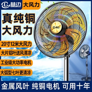摇头风扇力电风扇大功率机械立 林边落地扇工业家用静音大风力强式