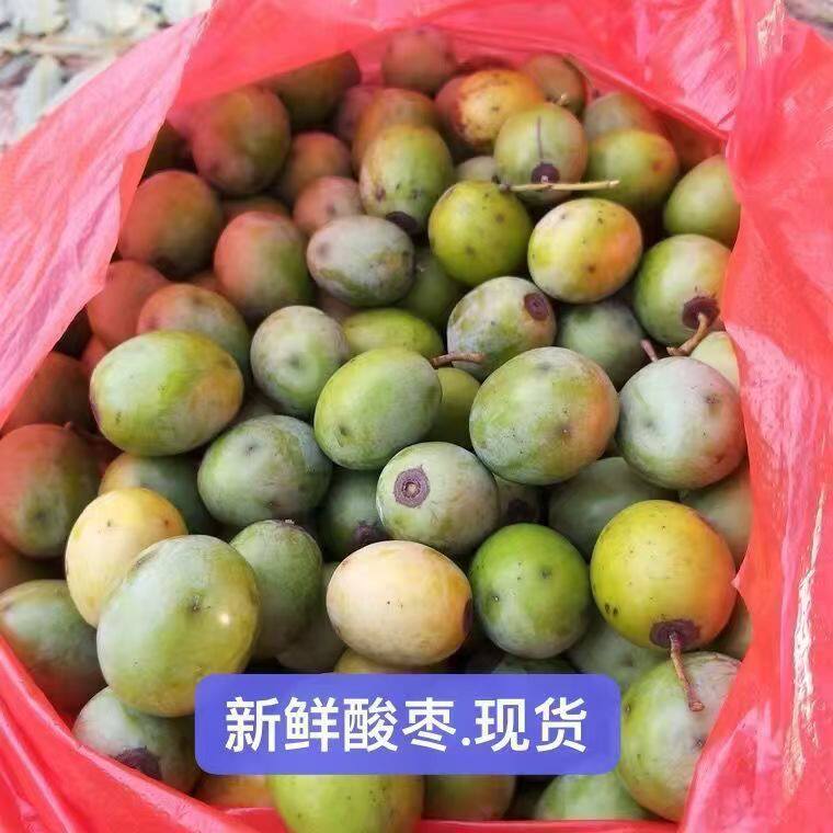 野生酸枣鼻涕果新鲜五眼果现摘现发南酸枣黄酸枣孕妇酸枣酸枣糕
