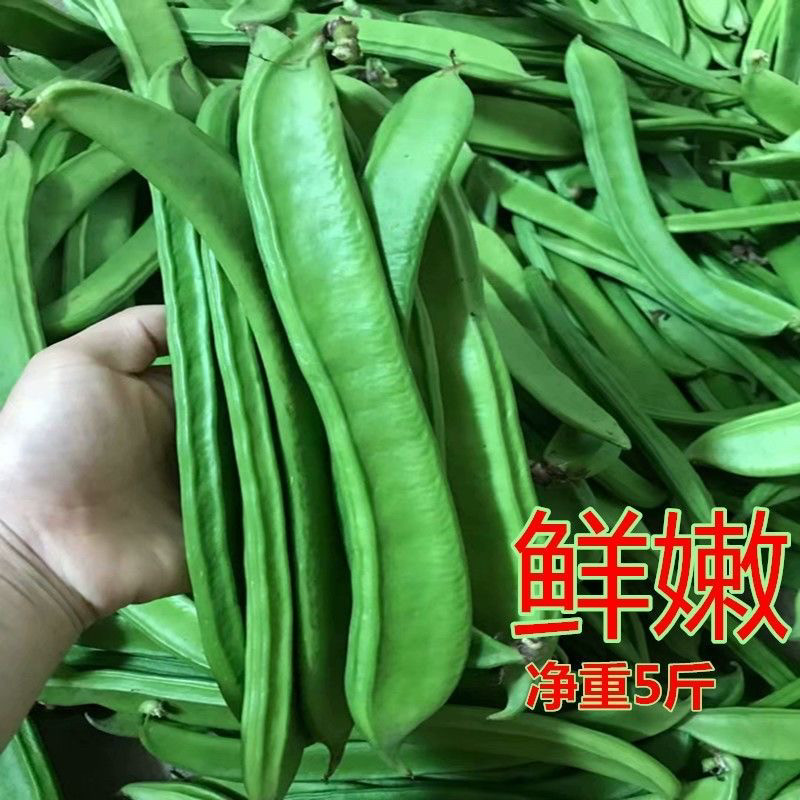 新鲜刀豆现摘农家刀巴豆扁豆大刀豆泡菜农家自种特产剁椒特产酸豆