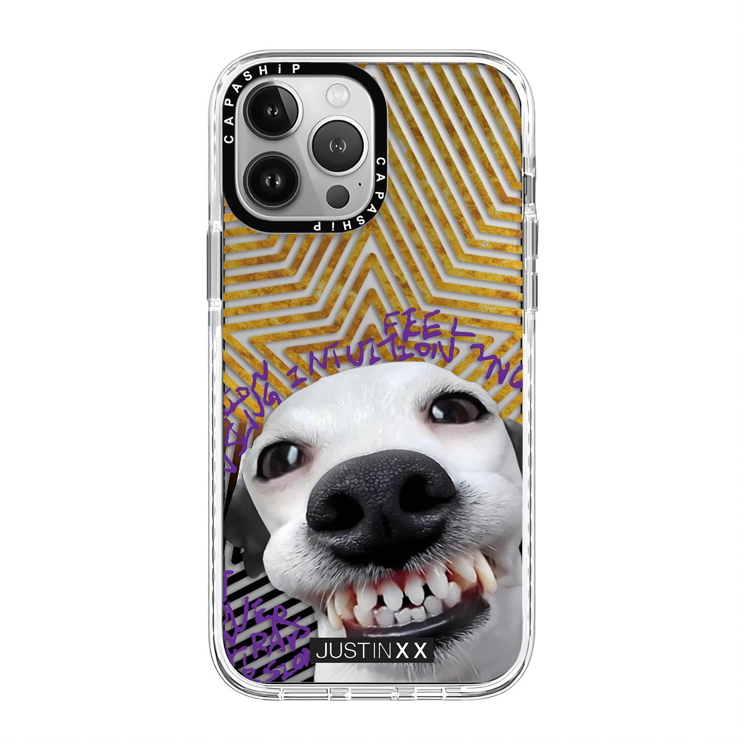 CASE适用苹果15iPhone14plus16亚克力13promax17Magsafe磁吸JUSTINXX动物手机壳12防摔11新款高级感tif保护套