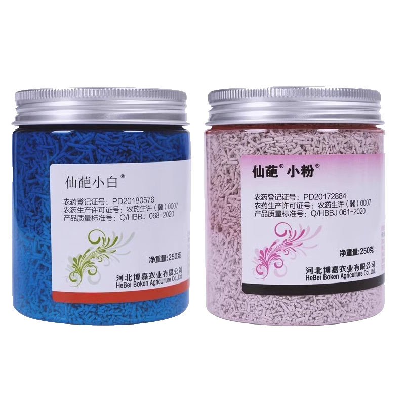 仙葩小白药杀虫剂月季