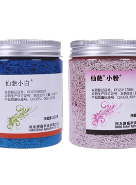 仙葩小白药杀虫剂月季