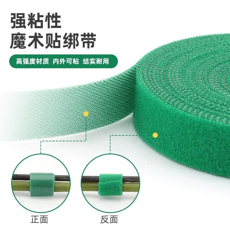 扎线扎带支撑植物绑带爬藤魔术贴捆绑固定花型固定器多功能双面,家居饰品,仿真植物盆景,淘宝优惠券,粉丝福利购,淘宝优惠卷