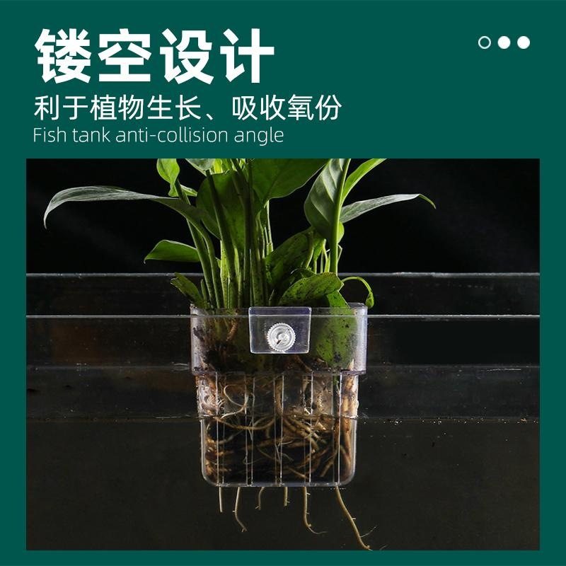 植物种植杯定植篮镂空鱼缸造景透明装饰壁挂式水培植物篮水草家用,饰品/流行首饰/时尚饰品新,其他DIY饰品配件,淘宝优惠券,粉丝福利购,淘宝优惠卷