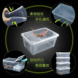 爬虫饲养盒爬宠蚕宝宝饲养盒角宫饲养盒爬虫蚕宝宝蜥蜴爬宠乌龟