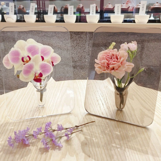 玄关亚克力高级感高颜值相框花瓶装饰透明绿植小众桌面插花客厅,家居饰品,桌面摆件,淘宝优惠券,粉丝福利购,淘宝优惠卷