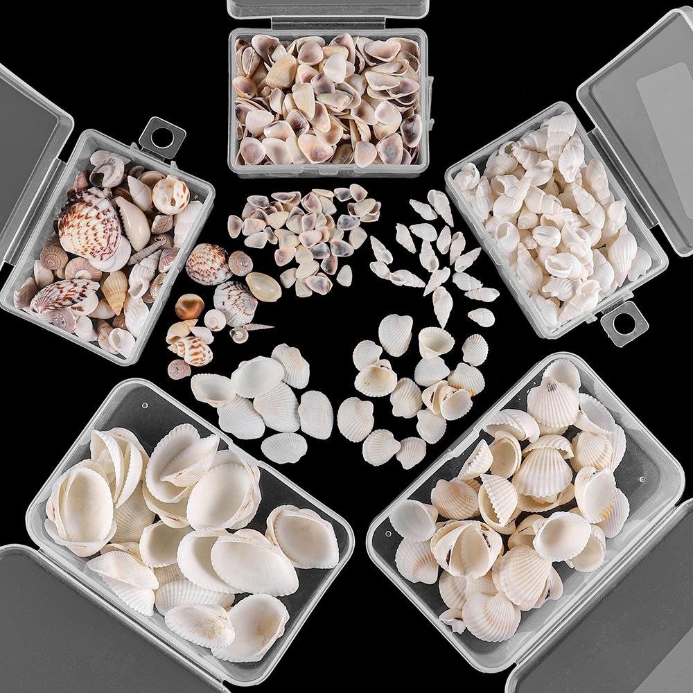 织纹螺手机壳螺壳米螺扇贝套装瓶装小海螺DIY饰品工艺品无孔,家居饰品,其他工艺饰品,淘宝优惠券,粉丝福利购,淘宝优惠卷