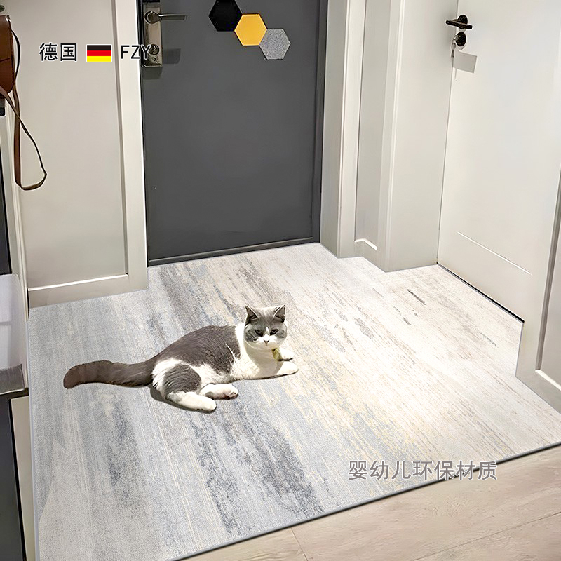 德国进口入户门地垫进门地毯脚垫