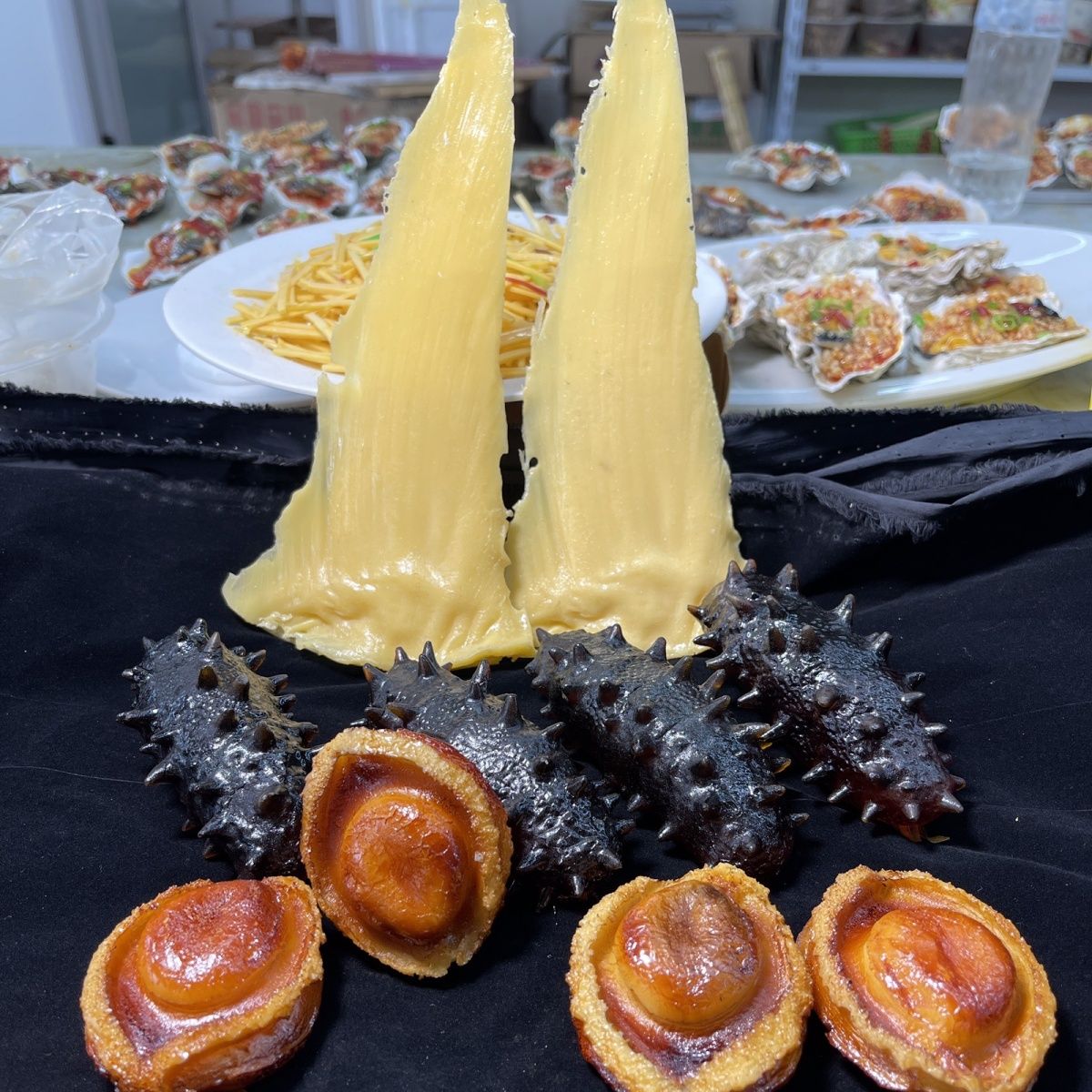 仿真海参鲍鱼鱼胶鱼翅佛跳墙模型饭店及厨具餐具样品展示拍摄道具