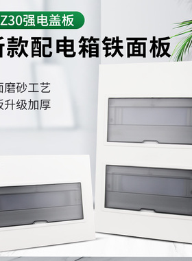 PZ30配电箱盖板通用家庭开关箱面板家用10/12/15/18位强电箱盖子