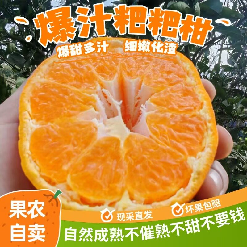 四川春见耙耙柑正宗水果新鲜整箱当季包邮丑桔橘10斤整箱现摘现发