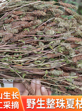 夏枯草整株野生白毛夏枯球泡茶夏姑草球中药材夏菇古草干货500g