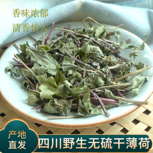 薄荷葉薄荷干薄荷泡水喝四川 薄荷梗 干薄荷自然曬干新貨 包郵