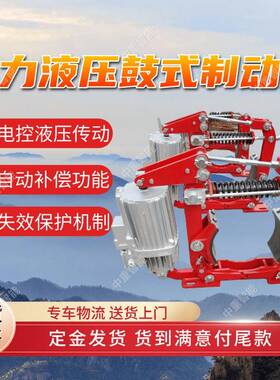 电力液压鼓式制动器 DYW300-750带式输送机用电力液压鼓式制动器