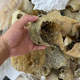 渔民自晒刺龟皮已拔刺刺龟鱼皮刺豚皮无刺鲍鱼海味干货煲汤火锅料