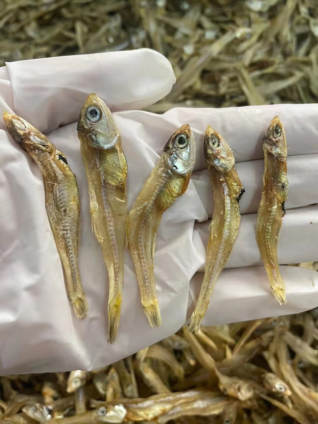 白饭鱼仔深海小鱼干丁香鱼干金线鱼银鱼干饶仔鱼海味干货本地生晒