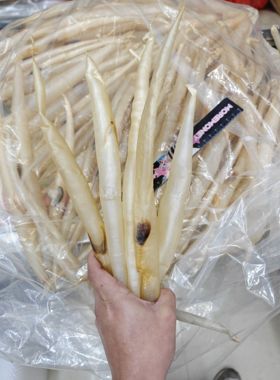 深海野生本地鳗鱼胶补qi血养胃滋补厚实阳江海味干货特变黄门鱼胶