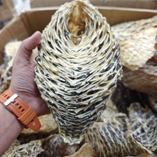 回头客巨多特产新鲜刺龟鱼皮足干海捕刺豚皮海刺猬皮去刺煲汤特产