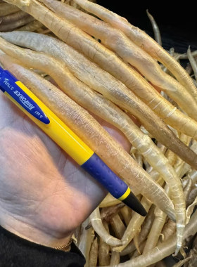 80头小鳗鱼胶足干新鲜鳗鱼胶花胶干货鳗鱼肚正品阳江干货特产足干