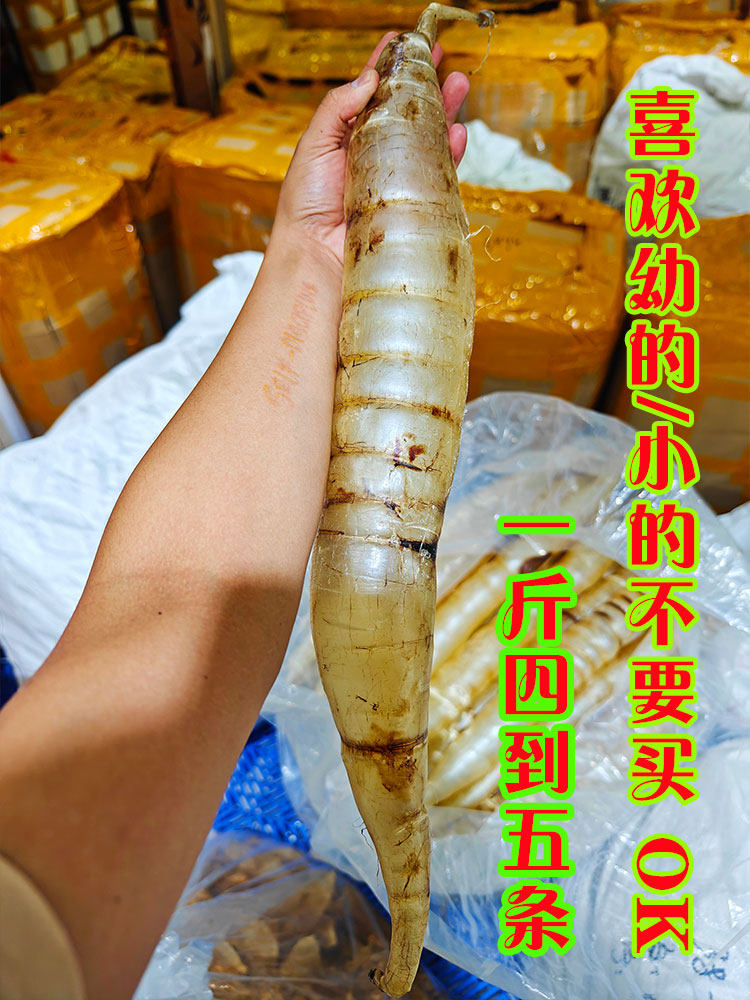 深海鳝鱼胶鳝胶黄鳗鱼胶正品滋补炖汤鱼鳔鱼胶花胶鱼肚干4-5头/斤