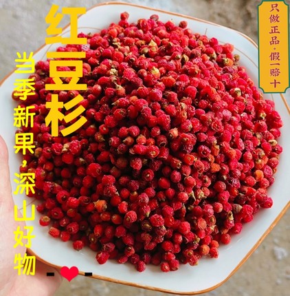 南方红豆杉果子富含紫杉醇煮水泡酒正品中药材原料红豆杉干果零售