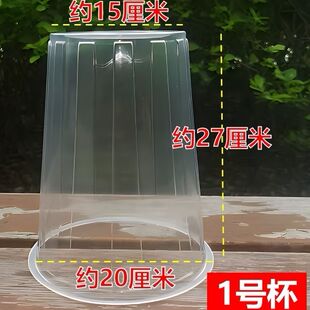 育苗防护罩特大号重复使用塑料罩大号幼苗防虫杯子保温杯一次性