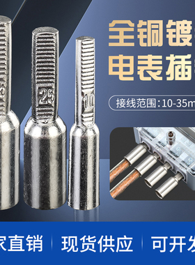DTA全铜电表插针 10/16/25/35平方 电表箱专用针式线鼻子纯铜镀锡